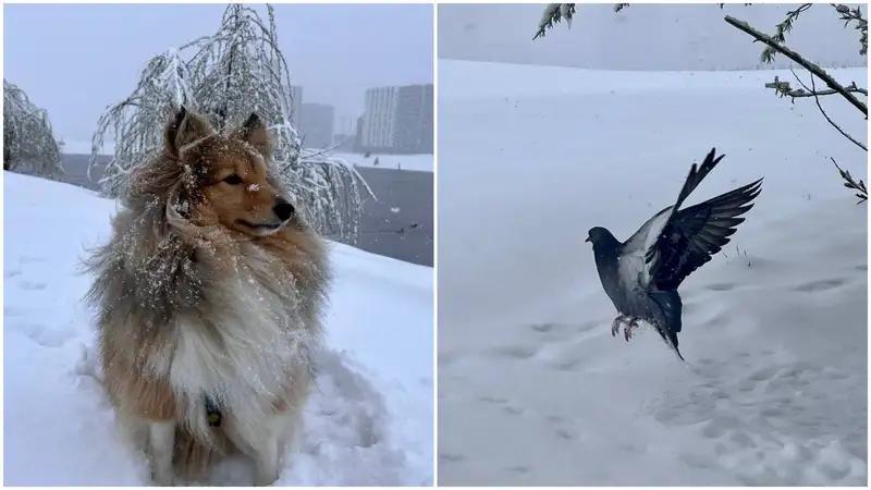 Мощный снегопад накрыл Екатеринбург