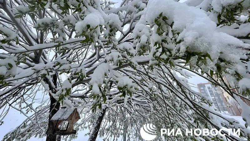 Мощный снегопад накрыл Екатеринбург