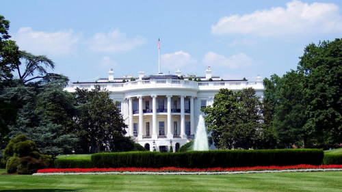 Белый дом уволил главу АНБ после встречи Трампа с крайне правой активисткой